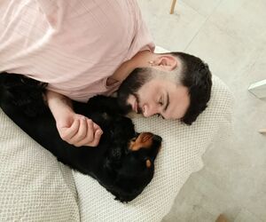 Iván