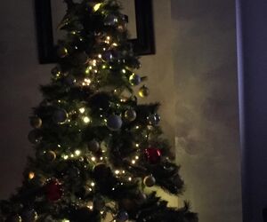 Lucia