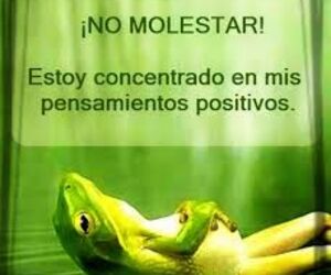 alber