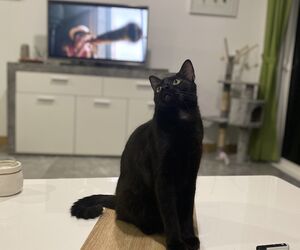 Tania