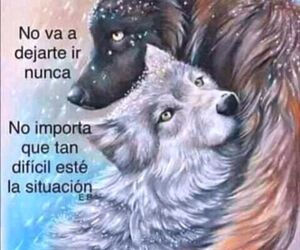 Tese