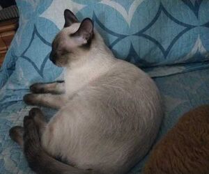 Eduardo
