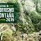 The walking festival La Palma
