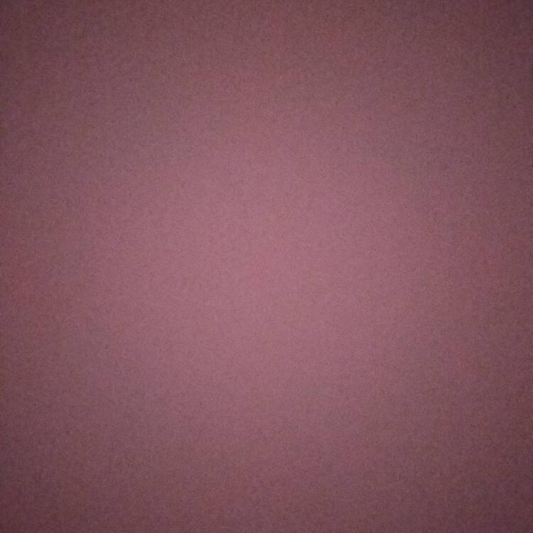 Foto de perfil de Fran