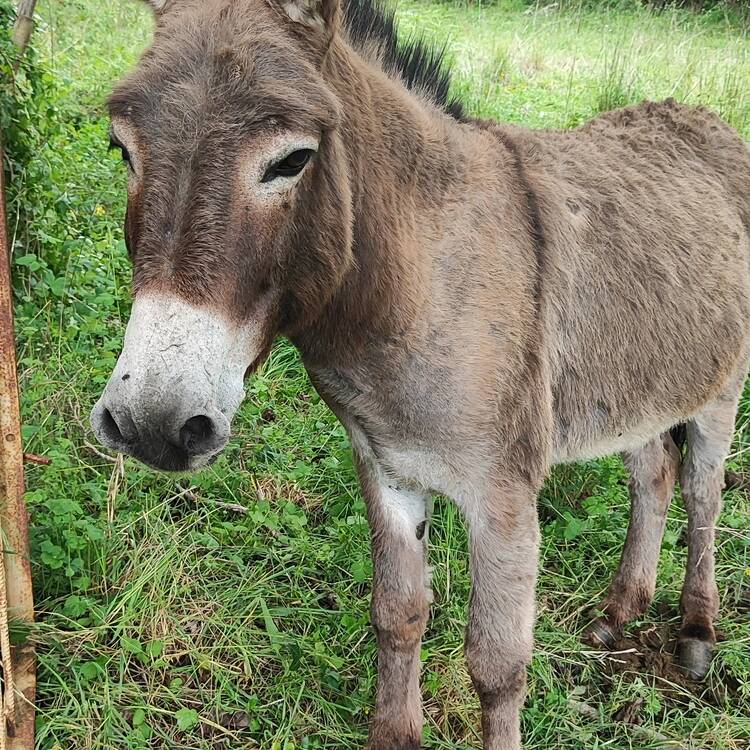 Foto de perfil de Angel