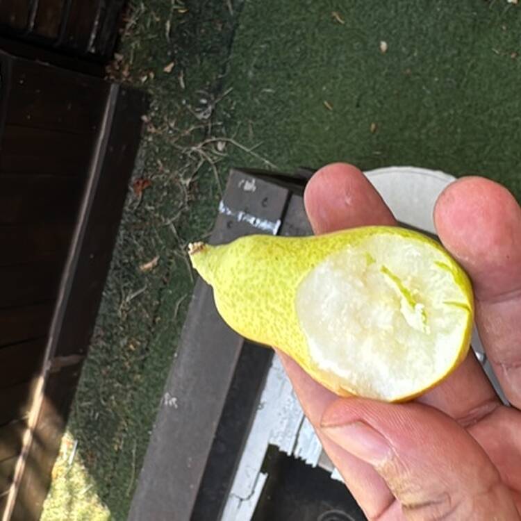 Foto de perfil de Enrique
